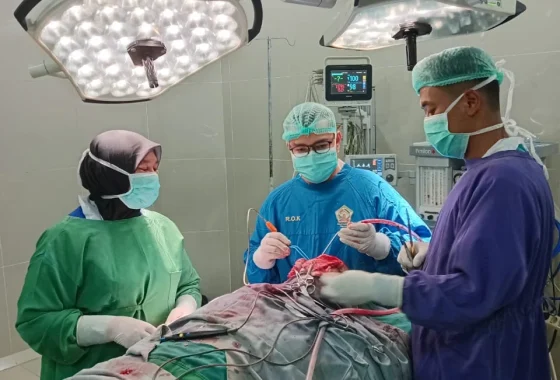 Video viral Pegawai Ruang Bedah RSUD Datu Beru Berjoget Saat Operasi Berlangsung – beritamerdeka.net Pecah Rekor Penonton