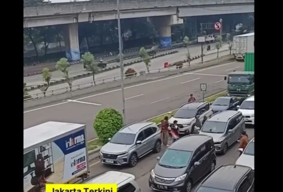 Viral 2 Pengendara Mobil Cekcok di Tol Pelabuhan Arah Tanjung Priok hingga Tutup Jalan – SINDOnews Daerah