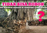 Viral Beringin Raksasa di TPU Malang Roboh hingga Jenazah Terangkat – detikcom: Fakta Lengkap dan Dampaknya