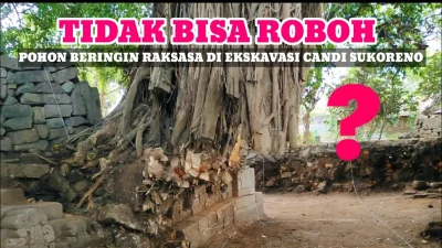 Viral Beringin Raksasa di TPU Malang Roboh hingga Jenazah Terangkat – detikcom: Fakta Lengkap dan Dampaknya