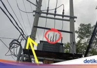 Viral Detik-Detik Pencuri Kabel di Jambi Gosong Terpanggang Listrik 20.000 Volt – iNews.ID: Kejadian Menggemparkan