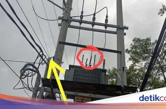 Viral Detik-Detik Pencuri Kabel di Jambi Gosong Terpanggang Listrik 20.000 Volt – iNews.ID: Kejadian Menggemparkan