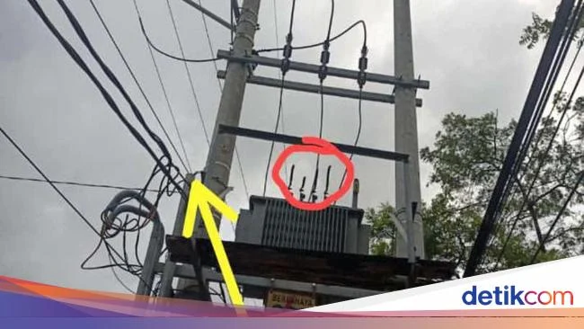 Viral Detik-Detik Pencuri Kabel di Jambi Gosong Terpanggang Listrik 20.000 Volt – iNews.ID: Kejadian Menggemparkan