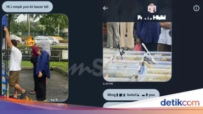 Viral Dugaan Pelecehan Seks di Grup Chat Mahasiswa Teknik Mesin, IPB Investigasi – detikNews