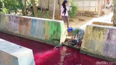 Viral Kolam Ikan di Pagaralam Mendadak Berwarna Merah, Warganet Heboh dan Muncul Dugaan Ini – Sumsel Update: Fakta Lengkap