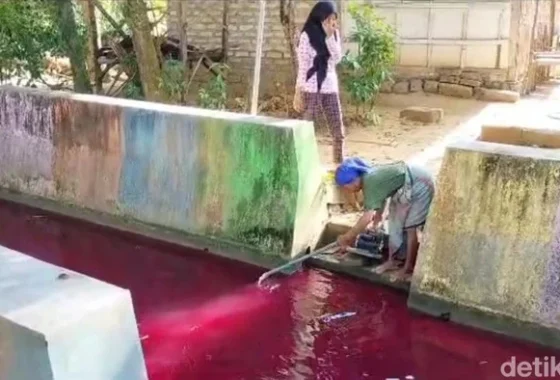 Viral Kolam Ikan di Pagaralam Mendadak Berwarna Merah, Warganet Heboh dan Muncul Dugaan Ini – Sumsel Update: Fakta Lengkap
