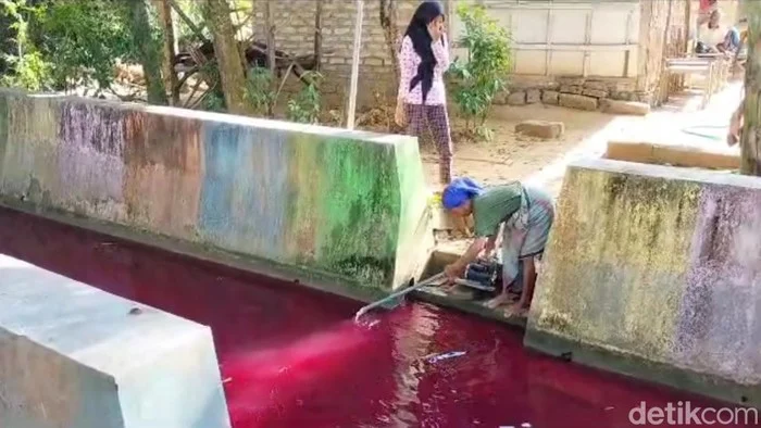 Viral Kolam Ikan di Pagaralam Mendadak Berwarna Merah, Warganet Heboh dan Muncul Dugaan Ini – Sumsel Update: Fakta Lengkap