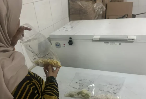 Viral Motor MBG untuk SPPG, Ternyata Ini Merk dan Harganya – Hasanah.id