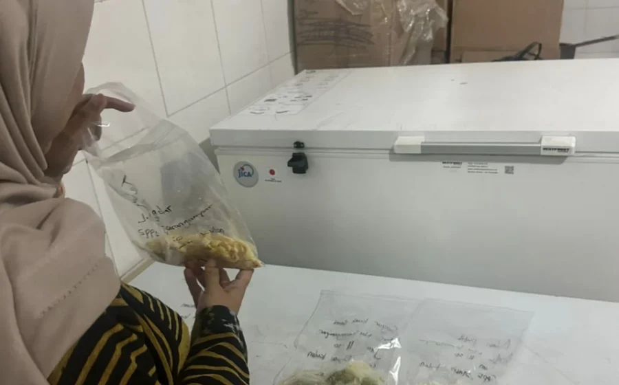 Viral Motor MBG untuk SPPG, Ternyata Ini Merk dan Harganya – Hasanah.id