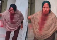 Viral Nenek-Nenek Diduga Curi TV 30 Inci di Jatinegara, Beraksi dengan Tenang – tvOneNews: Fakta Lengkap dan Reaksi Netizen