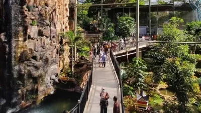 Viral Pengunjung Kebun Binatang Bukittinggi Terkunci di Area Akuarium – detikcom: Insiden Mengejutkan di Sumatera Barat