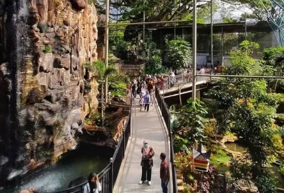 Viral Pengunjung Kebun Binatang Bukittinggi Terkunci di Area Akuarium – detikcom: Insiden Mengejutkan di Sumatera Barat