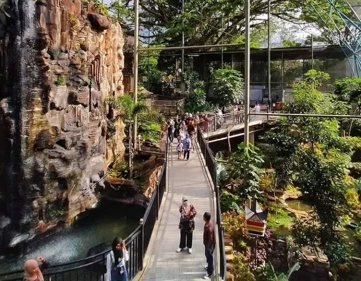 Viral Pengunjung Kebun Binatang Bukittinggi Terkunci di Area Akuarium – detikcom: Insiden Mengejutkan di Sumatera Barat