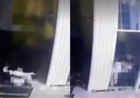 Viral Sejoli Ini Kepergok Tidur Kelonan di Musala – detikcom: Fakta Lengkap dan Reaksi Publik