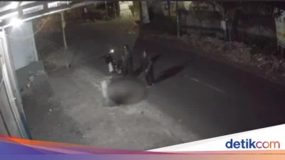 Viral Video Aniaya Anjing hingga Tewas, Pria di Mataram Diringkus Polisi – BeritaSatu.com: Fakta Lengkap dan Tindakan Hukum