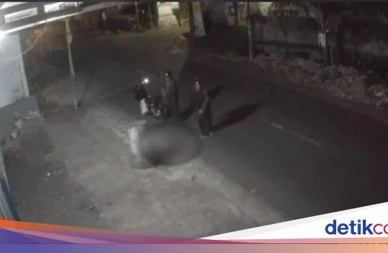 Viral Video Aniaya Anjing hingga Tewas, Pria di Mataram Diringkus Polisi – BeritaSatu.com: Fakta Lengkap dan Tindakan Hukum