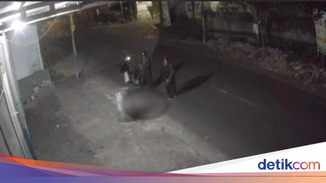 Viral Video Aniaya Anjing hingga Tewas, Pria di Mataram Diringkus Polisi – BeritaSatu.com: Fakta Lengkap dan Tindakan Hukum