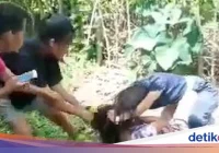 Viral Video ‘Smackdown’ di Kebun Sawit Lutra: Siswi SMP Diseret & Dikeroyok, Netizen Geram! – Berita Bersatu