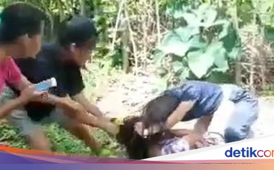 Viral Video ‘Smackdown’ di Kebun Sawit Lutra: Siswi SMP Diseret & Dikeroyok, Netizen Geram! – Berita Bersatu