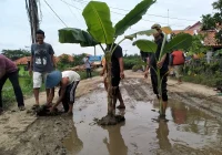 Warga Indramayu tanam pohon pisang di jalan rusak, protes jalan tak diperbaiki [titlebase] – Aksi Kreatif Minta Perbaikan